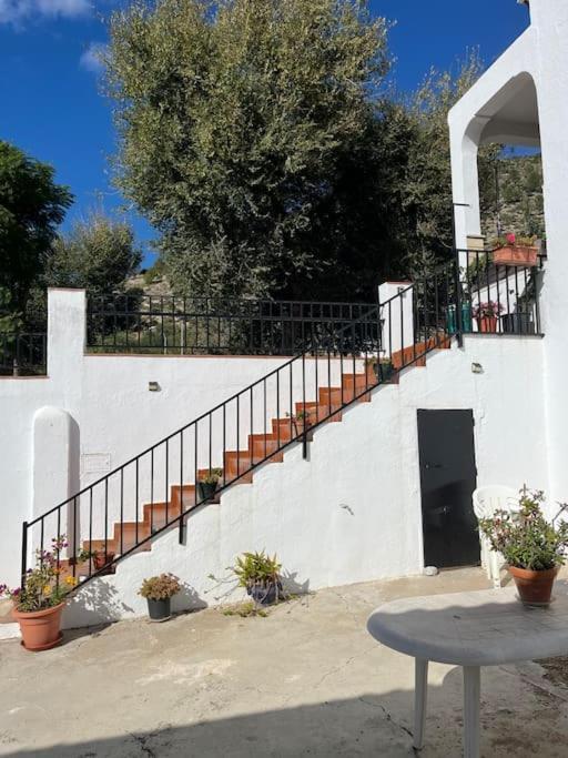 Casa La Fuente Alta Villa Algodonales Bagian luar foto